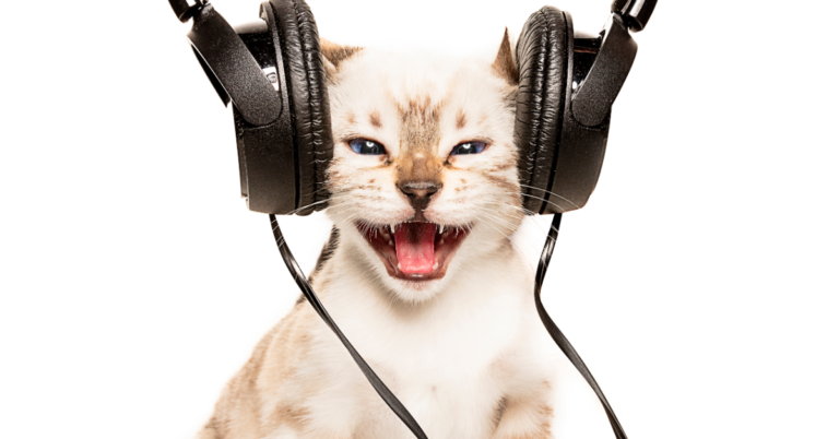 headphone cat logo